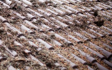 Shackleton roof cleaning companies