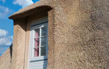 Shackleton thatch roof disadvantages